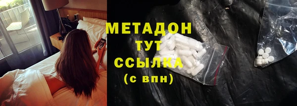 стаф Алзамай