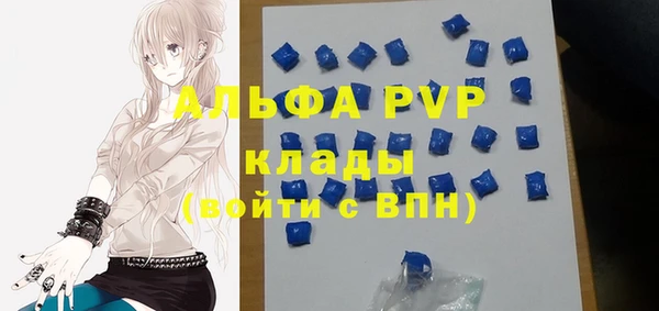 стаф Алзамай
