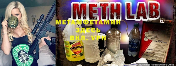 стаф Алзамай